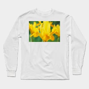 Iris  'Royal Yellow'  Dutch iris Long Sleeve T-Shirt